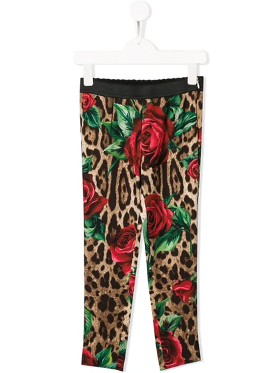 Dolce & Gabbana Kids' Leopard Print Leggings In Brown