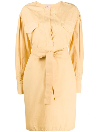 Nude Belted Shirt Dress In Neutrals