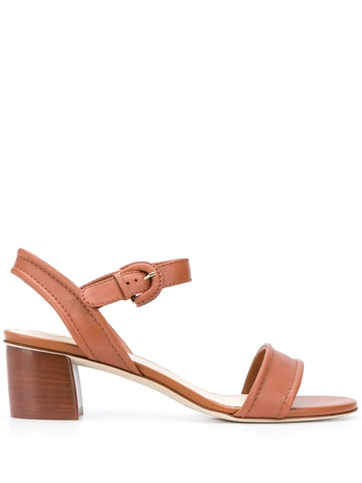 Tod's Buckled Leather Sandals In Brown