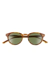 Salt Spencer 48mm Polarized Round Sunglasses In Woodgrain/ Green