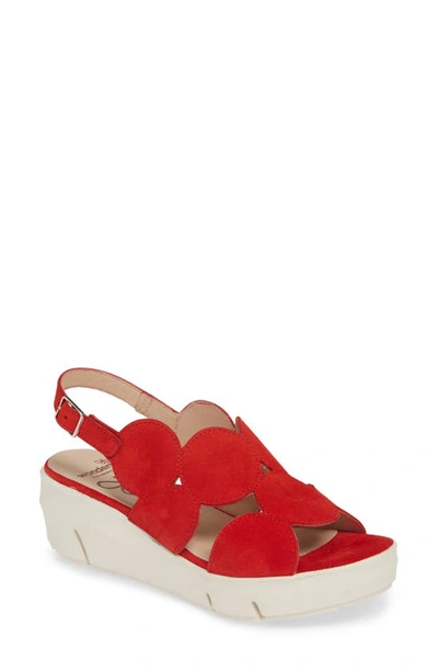 Wonders Platform Sandal In Ante Rojo Suede