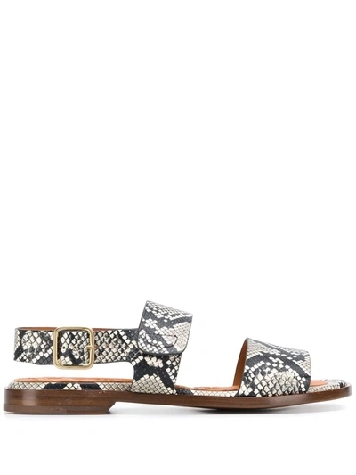 Chie Mihara Open Toe Snakeskin Print Sandals In Black