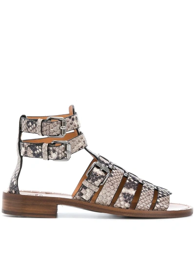 Church's Deb Python-print Gladiator Sandals In Grey