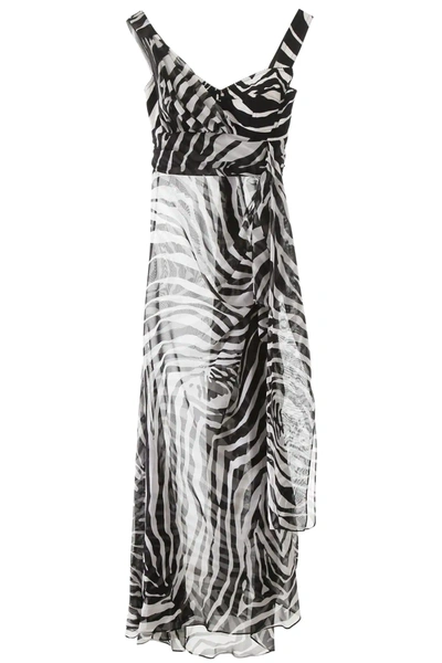Dolce & Gabbana Zebra Print Chiffon Dress In White,black