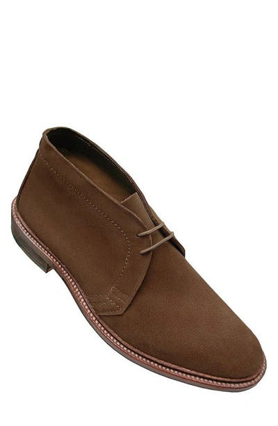 Alden Shoe Company Chukka Boot In Snuff Suede