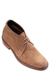 Alden Shoe Company Chukka Boot In Tan