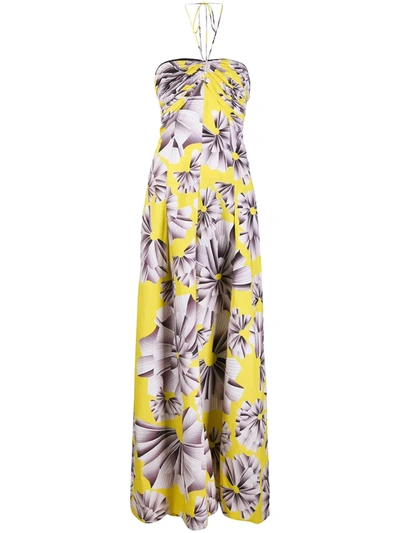 Maria Lucia Hohan Ives Halterneck Jumpsuit In Yellow