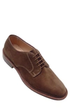 Alden Shoe Company Blucher Plain Toe Derby In Snuff Suede