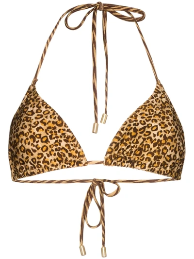 Zimmermann Empire Leopard-print Halterneck Bikini Top In Brown