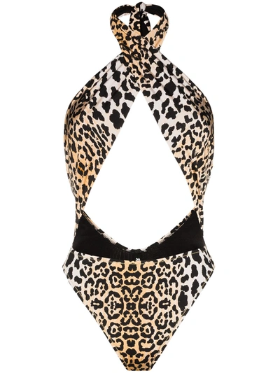 Reina Olga Italian Stallion Leopard-print Swimsuit In Black