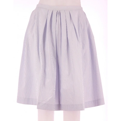 Pre-owned Tara Jarmon Skirt In Blue