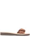 Ancient Greek Sandals Buckle Strap Sandal In Brown