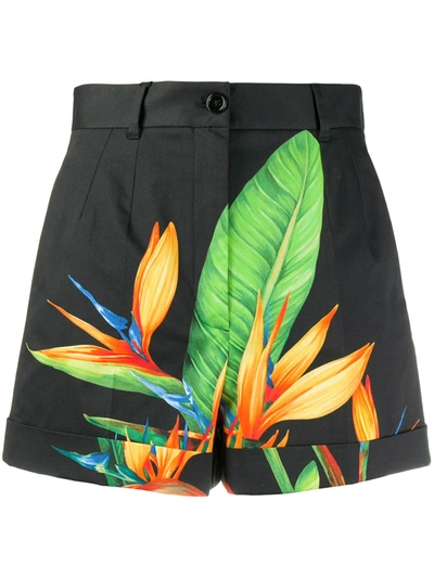 Dolce & Gabbana Tropical Print High-waist Shorts In Black
