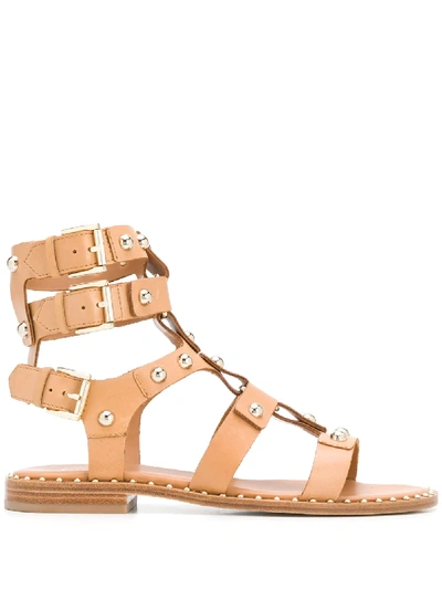 Ash Brown Leather Sandals In Neutrals