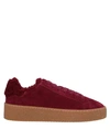 Dsquared2 Sneakers In Maroon
