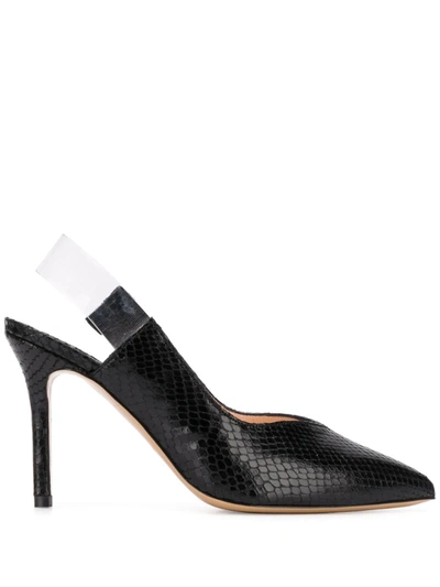 Pinko Snake Embossed Pumps In Black