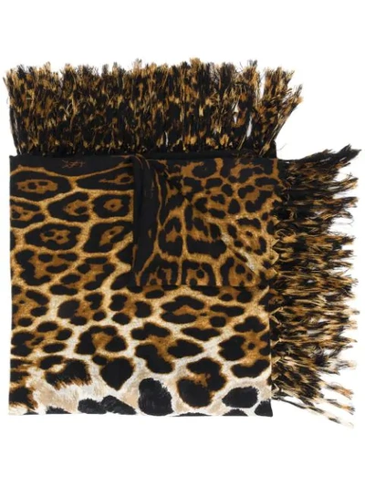 Saint Laurent Leopard Print Frayed Edge Scarf In Black