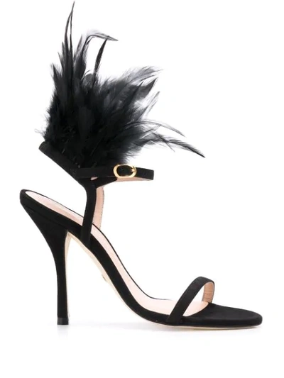 Stuart Weitzman Ricki Feathered Detail Sandals In Black