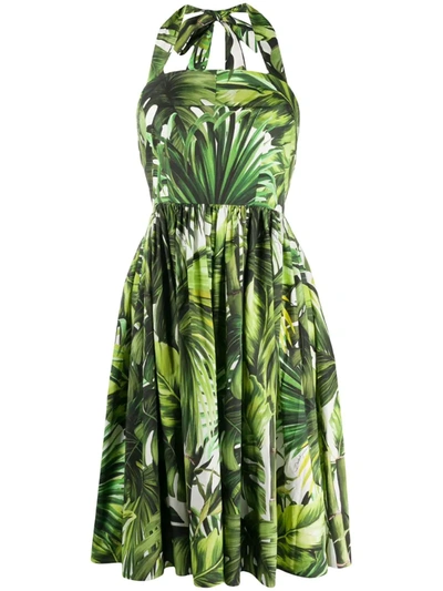 Dolce & Gabbana Jungle Print Halterneck Dress In Green