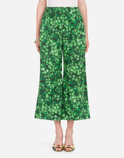 Dolce & Gabbana Poplin Culottes With Four-leaf Clover Print In Floral Print