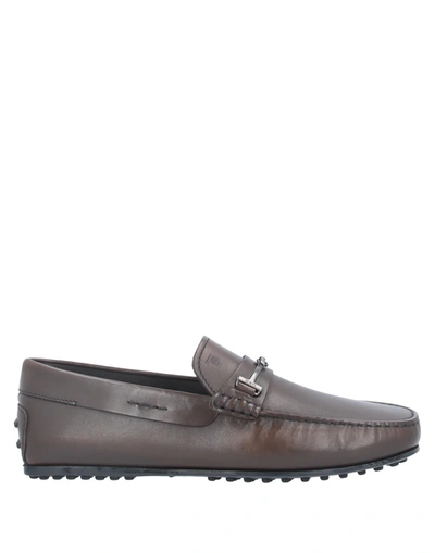 Tod's Loafers In Brown