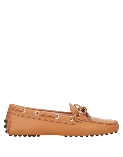 Tod's Loafers In Camel
