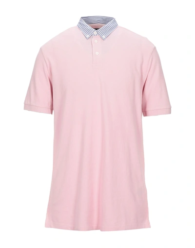 Hackett Polo Shirt In Light Pink