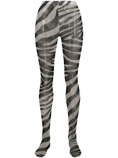 Dolce & Gabbana Zebra Print Tights In Black