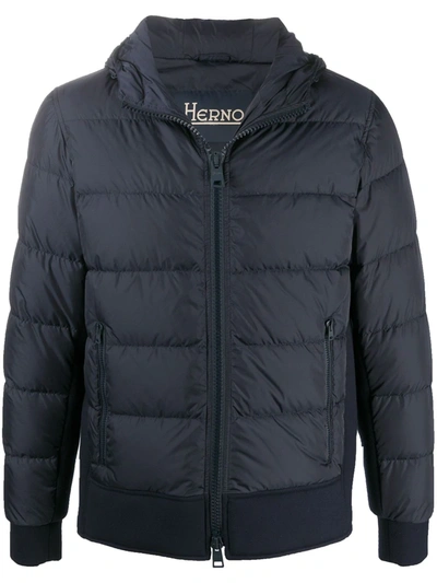 Herno Padded Hooded Jacket In Blue