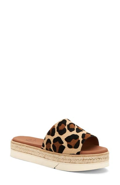 Aquatalia Shayna Leopard Print Espadrille Platform Slide Sandal