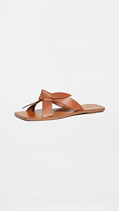 Staud Lei Knotted Leather Slides In Tan