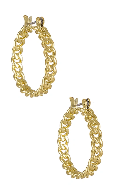 Amber Sceats Mini Cuban Link Hoops In Gold