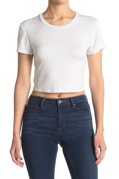 Bcbgeneration Baby Cropped Knit Top In Optic White
