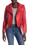 Walter Baker Women's Allison Classic Moto Jacket In Ruby Red