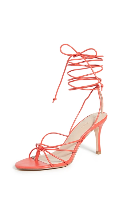 Villa Rouge Aries Sandals In Fiery Red