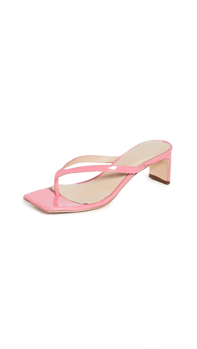 Villa Rouge Dawson Sandals In Bubble Gum