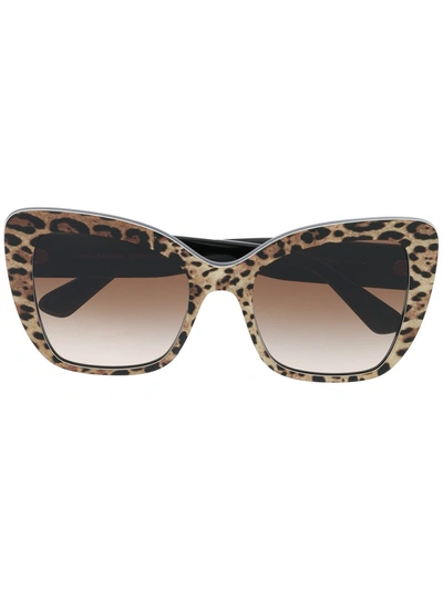 Dolce & Gabbana 54mm Cat Eye Leopard Sunglasses In Black Brown