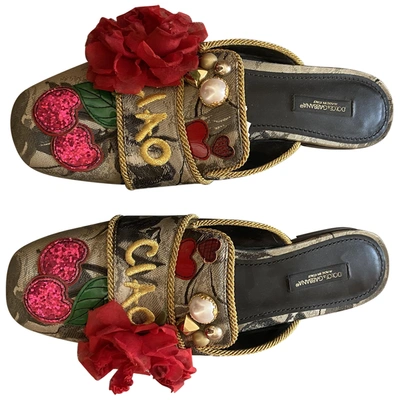 Pre-owned Dolce & Gabbana Glitter Flats In Multicolour