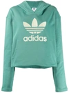 Adidas Originals Logo Applique Hoodie In Future Hydro F10