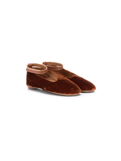 Pèpè Babies' Velvet Ballerinas In Brown