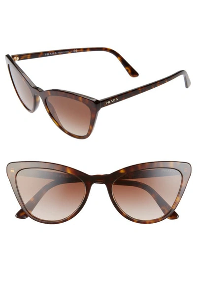 Prada 56mm Cat Eye Sunglasses In Brown