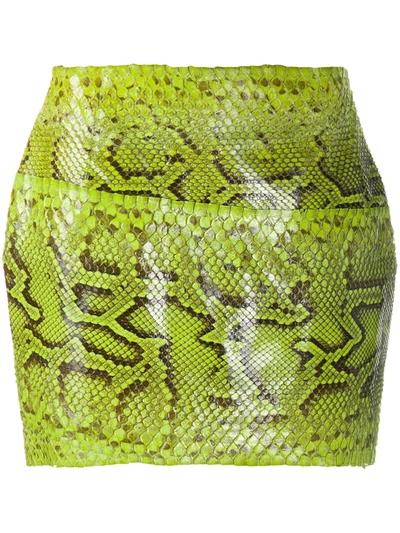 Dolce & Gabbana Snakeskin Fitted Mini Skirt In Green