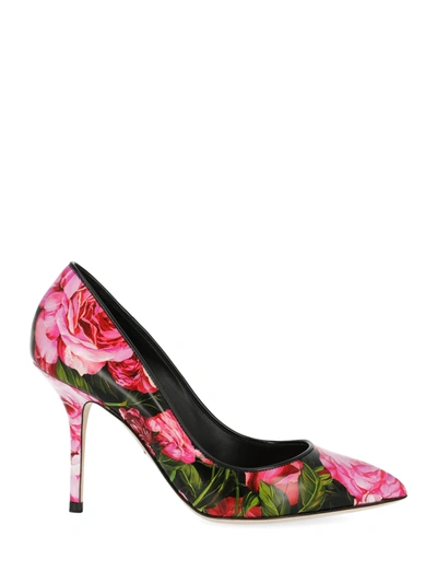 Dolce & Gabbana Shoe In Black, Pink