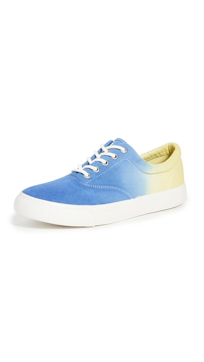 Polo Ralph Lauren Harpoon Sneakers In Heritage Royal/m594 Fluorescen