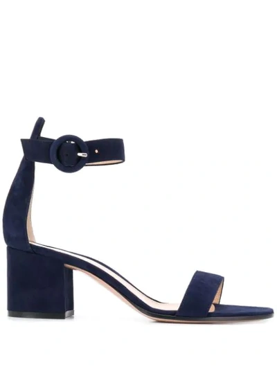 Gianvito Rossi Ankle Strap Sandals In Blue