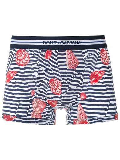 Dolce & Gabbana Cotton Boxers With Shell Print In Blue