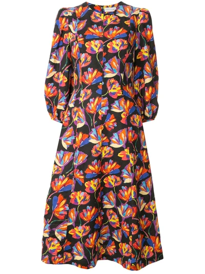 Rebecca Vallance Cintia Flared Day Dress In Multicolour