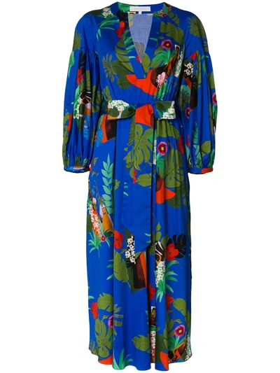 Borgo De Nor Mia Floral Flared Cotton Dress In Blue