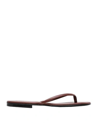 8 By Yoox Toe Strap Sandals In Brown