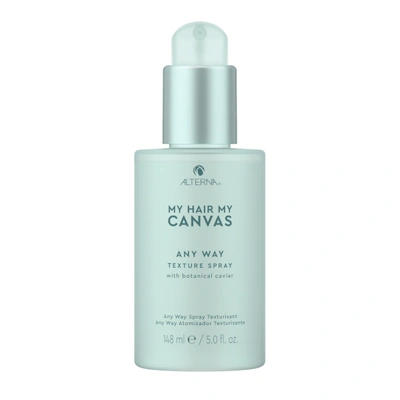 Alterna My Hair. My Canvas. Any Way Texture Spray 5.0oz In Charcoal / White